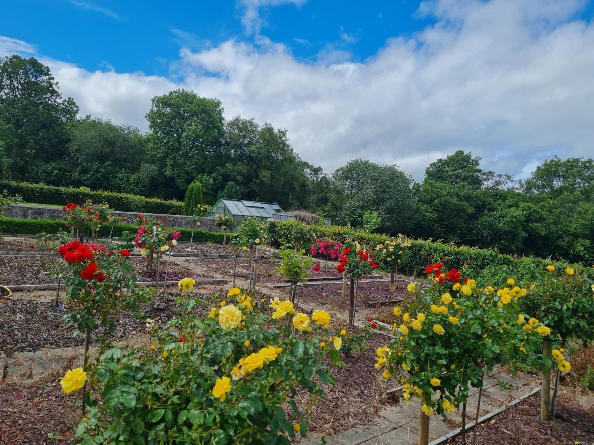 Hazelwood Country House アデア エクステリア 写真